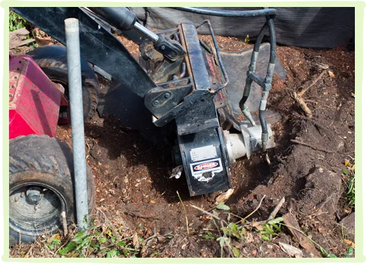 Stump Grinding and Removal